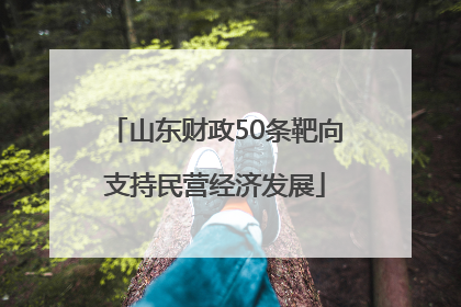 山东财政50条靶向支持民营经济发展