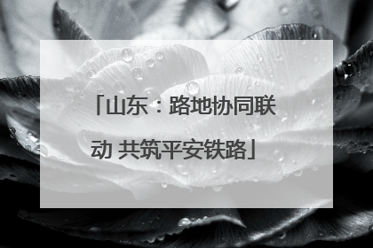山东：路地协同联动 共筑平安铁路