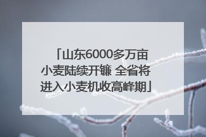 山东6000多万亩小麦陆续开镰 全省将进入小麦机收高峰期