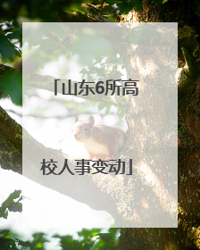 山东6所高校人事变动
