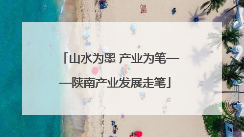 山水为墨 产业为笔——陕南产业发展走笔