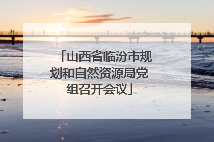 山西省临汾市规划和自然资源局党组召开会议
