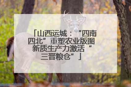 山西运城：“四南四北”重塑农业版图 新质生产力激活“三晋粮仓”