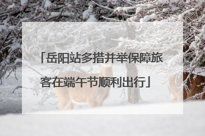 岳阳站多措并举保障旅客在端午节顺利出行