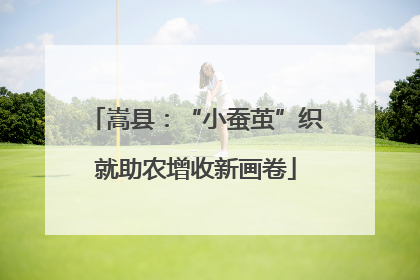 嵩县：“小蚕茧”织就助农增收新画卷