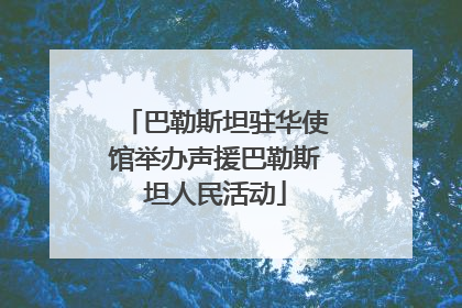 巴勒斯坦驻华使馆举办声援巴勒斯坦人民活动