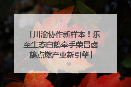 川渝协作新样本！乐至生态白鹅牵手荣昌卤鹅点燃产业新引擎