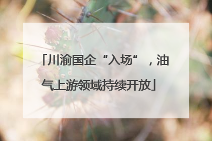 川渝国企“入场”，油气上游领域持续开放