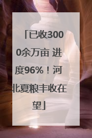 已收3000余万亩 进度96%！河北夏粮丰收在望
