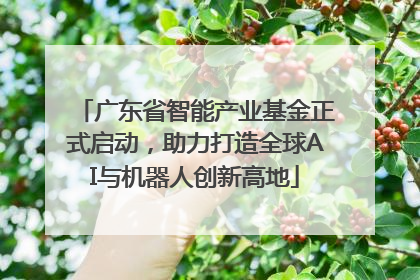 广东省智能产业基金正式启动，助力打造全球AI与机器人创新高地