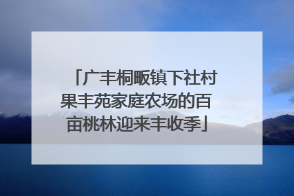 广丰桐畈镇下社村果丰苑家庭农场的百亩桃林迎来丰收季