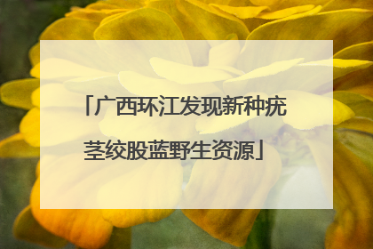 广西环江发现新种疣茎绞股蓝野生资源