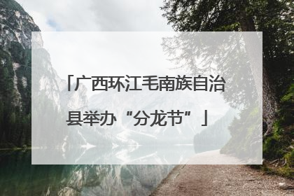 广西环江毛南族自治县举办“分龙节”
