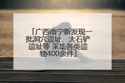 广西南宁新发现一批洞穴遗址、大石铲遗址等 采集各类遗物400余件
