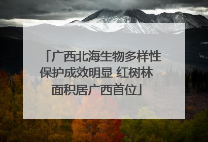 广西北海生物多样性保护成效明显 红树林面积居广西首位