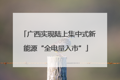 广西实现陆上集中式新能源“全电量入市”