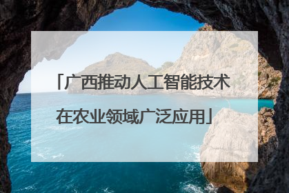 广西推动人工智能技术在农业领域广泛应用