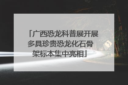 广西恐龙科普展开展 多具珍贵恐龙化石骨架标本集中亮相