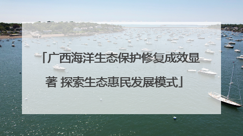 广西海洋生态保护修复成效显著 探索生态惠民发展模式