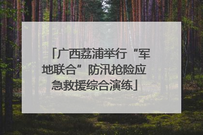 广西荔浦举行“军地联合”防汛抢险应急救援综合演练