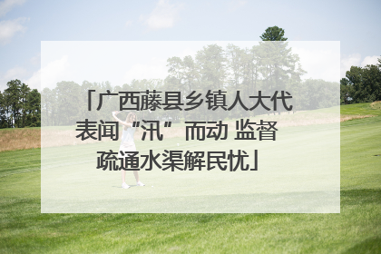 广西藤县乡镇人大代表闻“汛”而动 监督疏通水渠解民忧