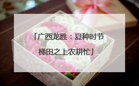 广西龙胜：夏种时节 梯田之上农耕忙
