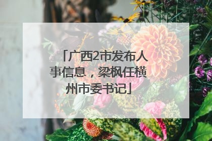 广西2市发布人事信息，梁枫任横州市委书记