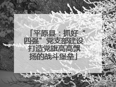 平原县：抓好“四强”党支部建设 打造党旗高高飘扬的战斗堡垒
