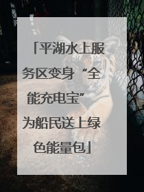 平湖水上服务区变身“全能充电宝” 为船民送上绿色能量包