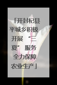 开封杞县平城乡积极开展 “三夏” 服务 全力保障农业生产