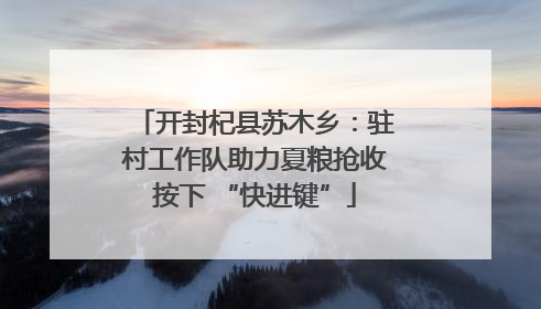 开封杞县苏木乡：驻村工作队助力夏粮抢收按下 “快进键”