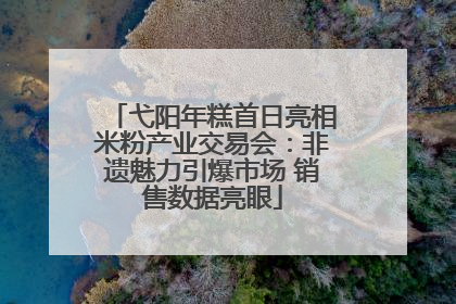弋阳年糕首日亮相米粉产业交易会：非遗魅力引爆市场 销售数据亮眼