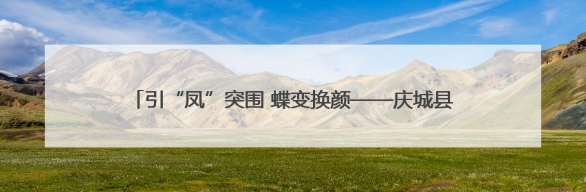 引“凤”突围 蝶变换颜——庆城县药王洞养生小镇农文旅融合发展纪实