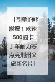 引擎咆哮燃爆！欧速500圈卡丁车耐力赛点亮荆州文旅新名片