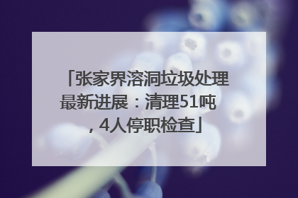 张家界溶洞垃圾处理最新进展：清理51吨，4人停职检查