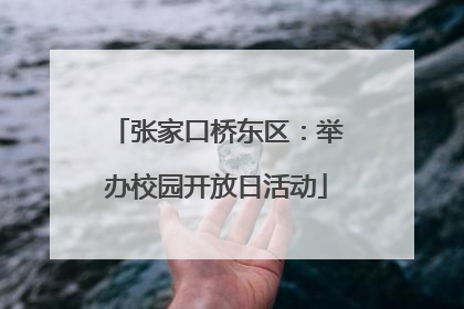 张家口桥东区：举办校园开放日活动