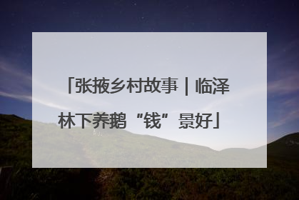 张掖乡村故事｜临泽林下养鹅“钱”景好