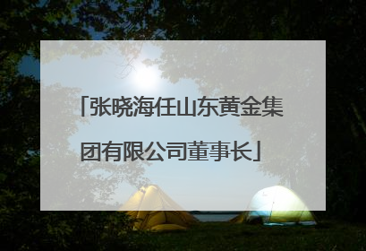 张晓海任山东黄金集团有限公司董事长