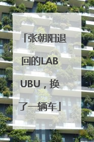 张朝阳退回的LABUBU，换了一辆车