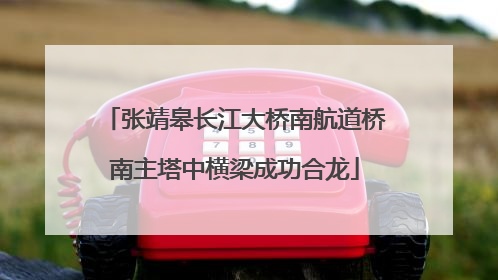 张靖皋长江大桥南航道桥南主塔中横梁成功合龙