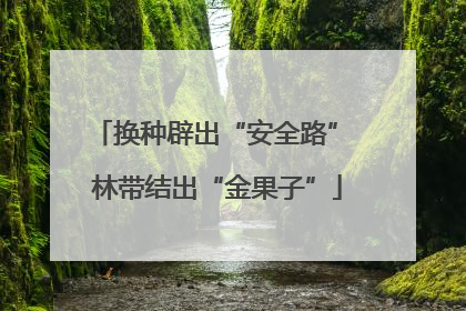 换种辟出“安全路” 林带结出“金果子”