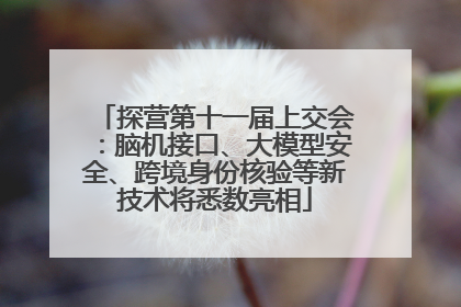 探营第十一届上交会：脑机接口、大模型安全、跨境身份核验等新技术将悉数亮相