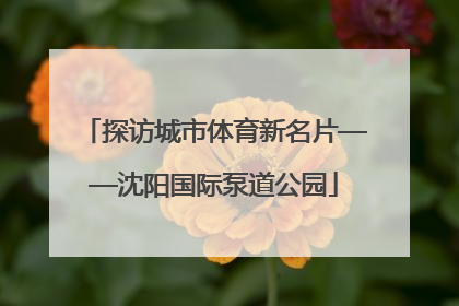 探访城市体育新名片——沈阳国际泵道公园