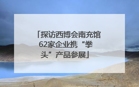 探访西博会南充馆 62家企业携“拳头”产品参展