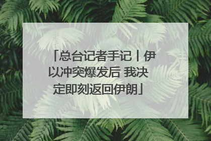 总台记者手记丨伊以冲突爆发后 我决定即刻返回伊朗