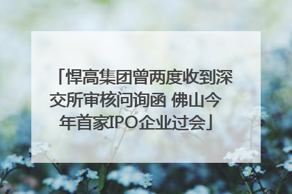 悍高集团曾两度收到深交所审核问询函 佛山今年首家IPO企业过会