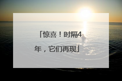 惊喜！时隔4年，它们再现