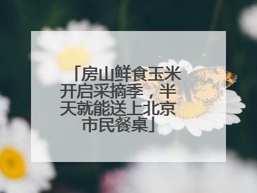 房山鲜食玉米开启采摘季，半天就能送上北京市民餐桌