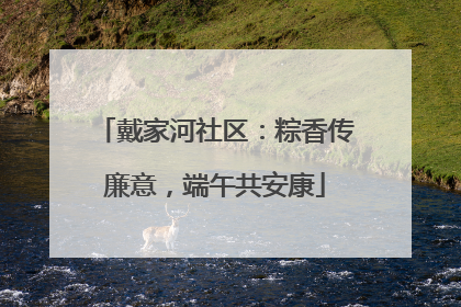 戴家河社区：粽香传廉意，端午共安康