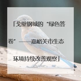 戈壁钢城的“绿色答卷”——嘉峪关市生态环境持续改善观察